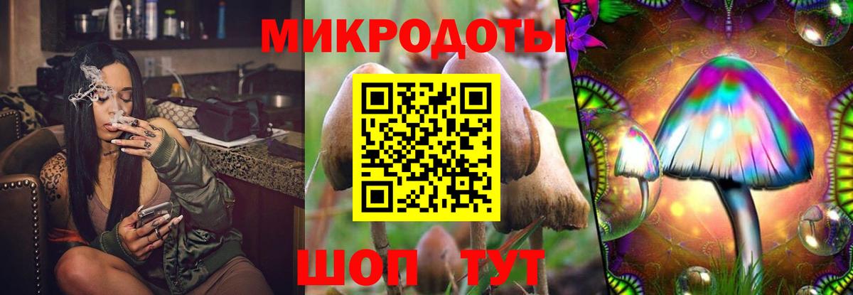 Усть-Джегута  Псилоцибиновые грибы Magic Shrooms  Псилоцибиновые грибы прущие грибы  Вход с VPN 