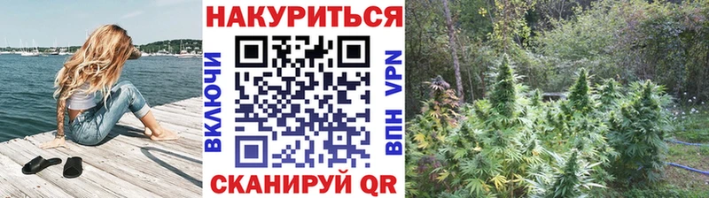 где купить наркоту  Усть-Джегута  Шишки марихуана White Widow 